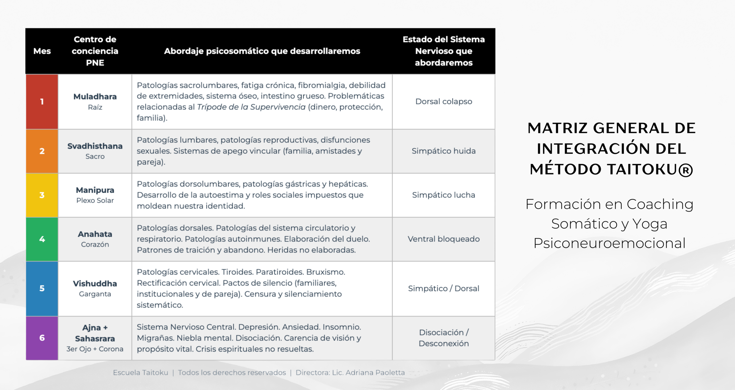 Matriz General de Integración del Método Taitoku - Coaching Somático y Psiconeuroendocrinología Chakras