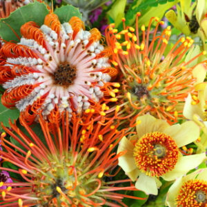 Curso de Terapia Floral <span>de Linneo</span>